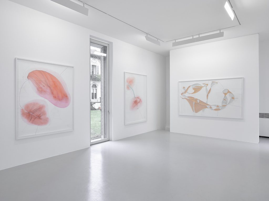 Salt-Sugar-Sex. Installation View, Lisson Gallery Archive