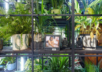 Rashid Johnson, Antoine's Organ (Detail), 2016, Black steel, grow lights, plants, wood, shea butter, books, monitors, rugs, piano, Installation View “Rashid Johnson. Fly Away” at Hauser & Wirth-New York NY, 2016, Photo: Martin Parsekian, © Rashid Johnson, courtesy the artist and Hauser & Wirth