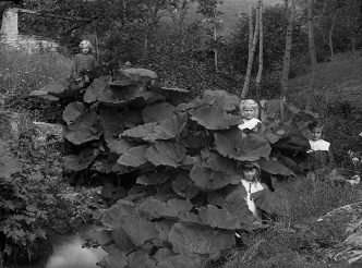 Roberto Donetta, Four Children in Leafs-Bleniotal, © Fondazione Archivio Fotografico Roberto Donetta-Corzoneso