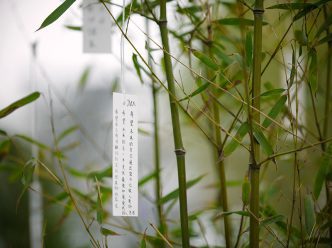 Yoko Ono, Wish Tree, Installation view of the exhibition “Yoko Ono: Golden Ladders”, Faurschou Foundation, Beijing, 2015, Photo:Jonathan Leijonhufvud, © Faurschou Foundation