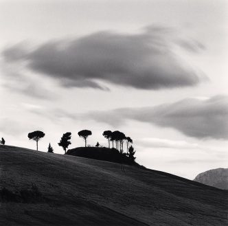 Michael Kenna, Pine Trees at Dusk-Contrada Cordano-Abruzzo-Italy, 2016, © Michael Kenna, Courtesy Robert Mann Gallery-New York