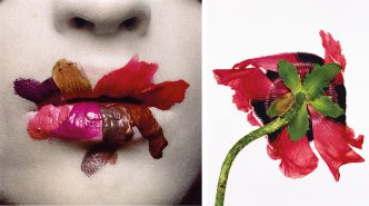 Left: Irving Penn, Mouth (for L’Oréal), New York, 1986, Dye transfer print, 47.6 × 46.7 cm, The Metropolitan Museum of Art-New York, Promised Gift of The Irving Penn Foundation, © The Irving Penn Foundation. Right: Irving Penn, Single Oriental Poppy, New York, 1968, Dye transfer print, 1987, 42.9 × 53.7 cm, The Metropolitan Museum of Art-New York, Promised Gift of The Irving Penn Foundation, © The Irving Penn Foundation