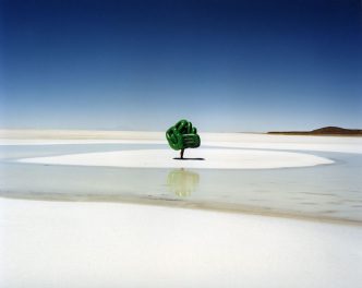 Scarlett Hooft Graafland, Seven Steps of Overlapping Beauty, 2004, Chromogenic Print, 100 x 125 cm, Edition of 6, Courtesy Flowers Gallery