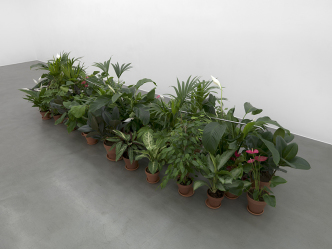 Luciano Fabro, Tubo da mettere tra i fiori, 1963-2001, Steel tube, soil, flowers, plants, Variable dimensions, Courtesy of the Archivio Luciano e Carla Fabro and Simon Lee Gallery