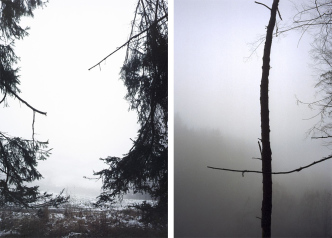 Left: Jitka Hanzlová, Forest #30, Untitled (Split), 2005, 20 x 14 inch, Chromogenic print, Courtesy the artist and Yancey Richardson Gallery. Right: Jitka Hanzlová, Forest #43, Untitled (Black Cross), 2004, 10 1/2 x 7 inch chromogenic print, Courtesy the artist and Yancey Richardson Gallery