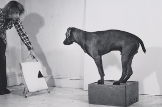 Before/On/After-William Wegman and California Conceptualism