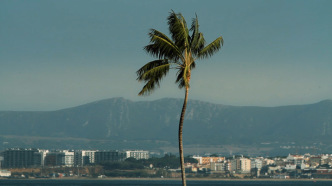 João Onofre, Ghost, 2009/2012, HD Vídeo, colour, sound, 14’ 04’’, Ed. 5/6, Courtesy Fundación Botín