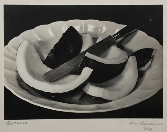 Aenne Biermann, Coconut, 1929, Museum Ludwig-Cologne, Reproduction: Rheinisches Bildarchiv-Cologne