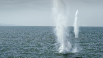 Akram Zaatari, Letter to A Refusing Pilot (Film still), 2013, © Akram Zaatari, Courtesy the artist, kurimanzutto-Mexico City and Moderna Museet-Stockholm/Malmö