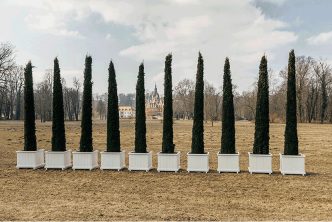 Maria Loboda, This Work is Dedicated to an Emperor, 2012-18, 20 Cupressus sempervirens, Courtesy the artist