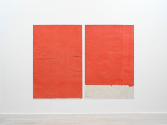 Nina Canell, Endnote, tooth (red), 2017, Diptych, acrylic and pencil on paper, Plexiglas, 178 x 118 cm each, Photo: Nick Ash, © Nina Canell, Courtesy the artist and Barbara Gross Galerie