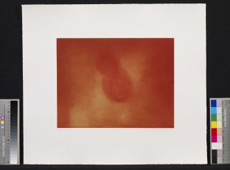 Anish Kapoor, Etching, 1994, A series of 15 etchings printed on 350 gsm Zerkall paper, each print is signed and numbered by the artist, Plate 28 x 35 cm, Sheet size 50.8 x 58.5 cm, Edition of 30, British Council Collection-London