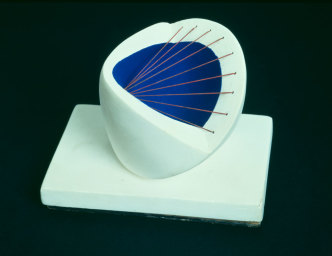 Dame Barbara Hepworth DBE, Sculpture with Colour (Deep Blue and Red), 1940, Plaster and string on plaster base, 105 × 149 × 105 mm, © Tate Images credit, © Hepworth / Bowness