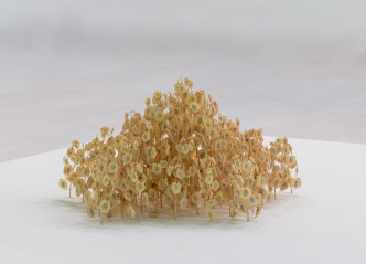 Christiane Löhr, Gelbes Pentagon (yellow pentagon), 2017, Plant stalks, 12,5 x 25 x 23 cm, PHoto: David Ertl, © Christiane Löhr, Courtesy the artist and Bernier/Eliades Gallery