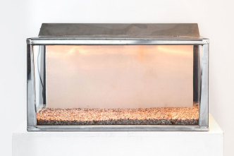 Allen Ruppersberg, , Untitled (Canvas Aquarium), 1968, Glass aquarium with light; canvas panel, feather, rocks. Courtesy Greene Naftali-New York; photo: Martha Fleming-Ives