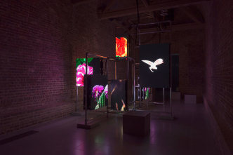 Hito Steyerl, Power Plants Installation view, 11/4-6/5/19, Serpentine Galleries Design by Ayham Ghraowi, Developed by Ivaylo Getov, Courtesy of the Artist, Andrew Kreps Gallery (New York) and Esther Schipper Gallery (Berlin), Photo: © 2019 readsreads.info