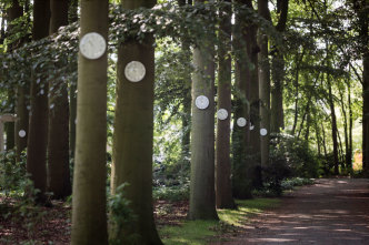 Ria Pacquée, The sun is moving, the clock ticking, the earth sinking, 2019, © Ria Pacquée, Photo: Ans Brys, Courtesy the artist and Middelheim Museum