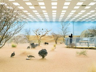 Farah Al Qasimi, Aviary, 2019, Archival Inkjet print, 45 x 60 in, Courtesy the artist, Helena Anrather-New York and the Third Line-Dubai, © 2019 Farah Al Qasimi