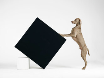 William Wegman, Constructivism 2014, Pigment print photograph, © William Wegman, Courtesy the artist