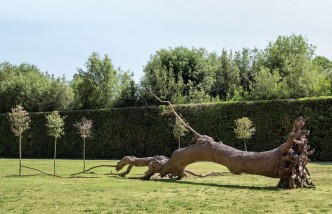 Giuseppe Penone La, logica del vegetale, © 2019 Artists Rights Society (ARS), New York / ADAGP, Paris. Photo: © Archivio Penone, Courtesy the artist and Gagosian