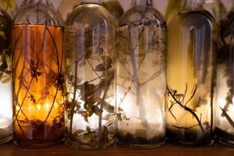 José Yaque, Tumba Abierta, 2020, Glass bottles, water, plant residues, 275 x 310 x 30 cm, Courtesy: the artist and GALLERIA CONTINUA, Photo by: Giovanni De Angelis