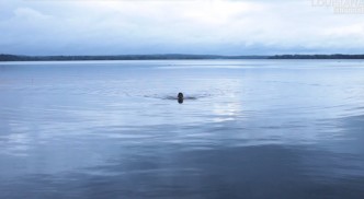 8 Artists on Water, Produced and edited by: Roxanne Bagheshirin Lærkesen, © Louisiana Museum of Modern Art, 2016, Supported by Nordea-fonden