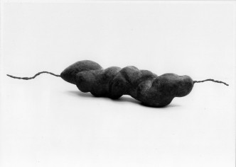 Berit Lindfeldt, Puppa, 1985, 9x56x9cm, bronze