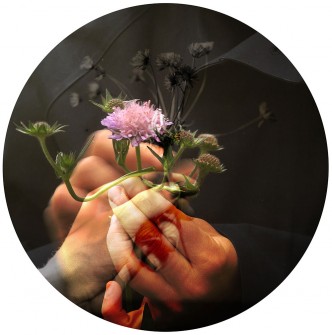 Sirah Foighel Brutmann & Eitan Efrat, Meeting a Flower Halfway, 2021, HD-Video, round projection frames, 14′20’’, Loop (Videostill), Courtesy Sirah Foighel Brutmann & Eitan Efrat