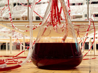 Chiharu Shiota, Connected to Life, 2021, Installation view ZKM | Center for Art and Media Karlsruhe, © Chiharu Shiota, VG Bild-Kunst, Bonn, 2021, Photo: ZKM | Center for Art and Media Karlsruhe, Felix Grünschloß