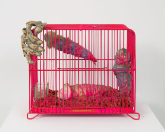 Tetsumi Kudo, Coelacanth, 1970, Painted cage, artificial soil, cotton, plastic, polyester, resin, pills, 26 x 31/1 x 15,2 cm, Courtesy Hauser & Wirth Gallery