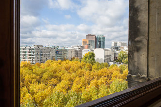 Zheng Bo, Botanical Comrades 植物同志, What Do the Trees Want?, 24.10.2020, © Gropius Bau, Photo: Laura Fiorio