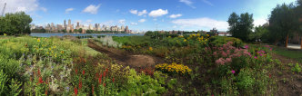 Meg Webster, Concave Room for Bees, 2016, a site-specific installation 70 feet in diameter created from over 300 cubic yards of soil forming an earthen bowl 5 feet high planted with flowers, herbs and shrubs that attract pollinating creatures, Socrates Sculpture Park, New York, 2016, © Meg Webster, Courtesy the artist and Paula Cooper Gallery