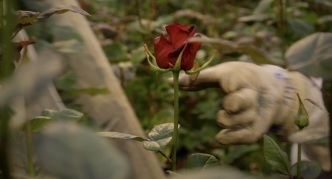 Éric Baudelaire, A Flower in the Mouth (Videostill), 2021, © Éric Baudelaire, Courtesy the artist and Halle Sankt Gallen