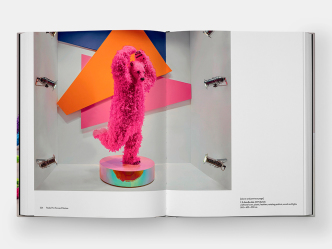 Paola Pivi, Phaidon Publications