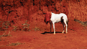 Cinthia Marcelle, O conversador, 2005. © Cinthia Marcelle. Photo: Cinthia Marcelle