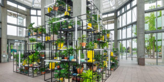 Rashid Johnson, Capsule, 2020, powder coated steel, plants, ceramics, books, video, monitors, grow lights, 23 x 23 x 23 ft, Purchased 2022, Accession number 50257, National Gallery of Canada, Ottawa. © Rashid Johnson. Photo: NGC