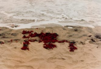 Ana Mendieta, Untitled: Silueta Series, Mexico from Silueta Works in Mexico, 1973–1977, 1976/1991, Color photograph, Framed: 24 1/4 × 18 1/4 in. (61.6 × 46.4 cm), Collection Museum of Contemporary Art Chicago, Gift from The Howard and Donna Stone Collection, 2002.46.6, © The Estate of Ana Mendieta Collection. Courtesy of Galerie Lelong, New York, Photo: Nathan Keay, © MCA Chicago