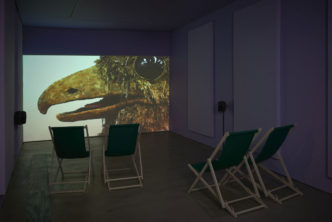 Ingela Ihrman, Oilbird with Nestling, 2021. Video HD, sound, 6 min. Exhibition view. Photo: Andy Keate, © Ingela Ihrman, Courtesy the artist and GAsworks