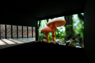 Sunmin Park, Architecture of Mushroom, 2019, 4K single-channel video, color, sound, 15 min 18 sec, © Sunmin Park, Courtesy the artist and Nam June Paik Art Center