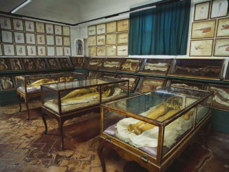 General view of Room XXIX, “La Specola” Museum, Museum of Natural History of the University of Florence. SMA, Sistema Museale dell’Università degli Studi di Firenze, ph. Saulo Bambi