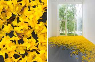 Allora & Calzadilla, graft, 2019, 17500 flowers recycled polyvinyl chloride and paint, dimensions variable, installation view of allora & calzadilla: specters of noon, menil collection, 2020-2021