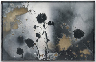 Anselm Kiefer, Sonnenblumen (Sunflowers), 1994-2012. Tinted silver photographic print under glass in a steel frame; 103.5 x 160.5 cm. © Anselm Kiefer. Photo: Charles Duprat