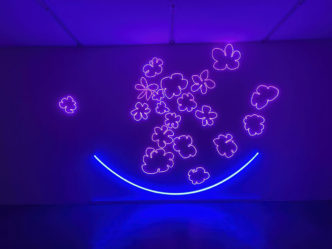 Dineo Seshee Raisibe Bopape, (Raisibe dreaming): flowers and light, flowers and light, 2023, Coloured LED-lightning, 3 + 2ap, Dimension variable, © Dineo Seshee Raisibe Bopape, courtesy the artist and Migros Museum für Gegenwartskunst