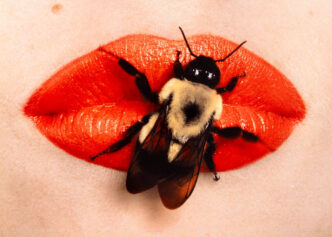 Irving Penn, Bee on Lips, New York, 1995, dye transfer print. © The Irving Penn Foundation, Courtesy Thaddaeus Ropac Gallery