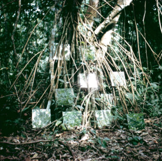 Robert Smithson, Seventh Mirror Displacement, detail from Yucatan Mirror Displacements, 1969, Nine chromogenic prints from original 126 format chromogenic slides, 24 x 24 in. (61 x 61 cm) each, framed, Collection Solomon R. Guggenheim Museum, New York